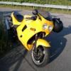 Daytonaole